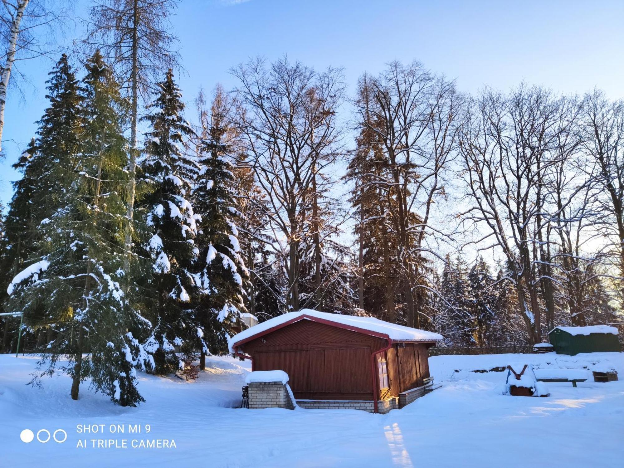 Lesni Chaty "Hogo Fogo" Kytlice Buitenkant foto