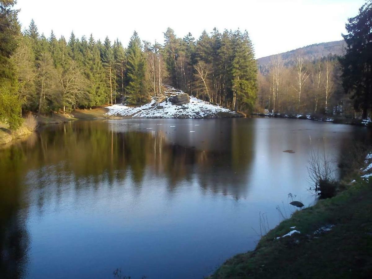 Lesni Chaty "Hogo Fogo" Kytlice Buitenkant foto